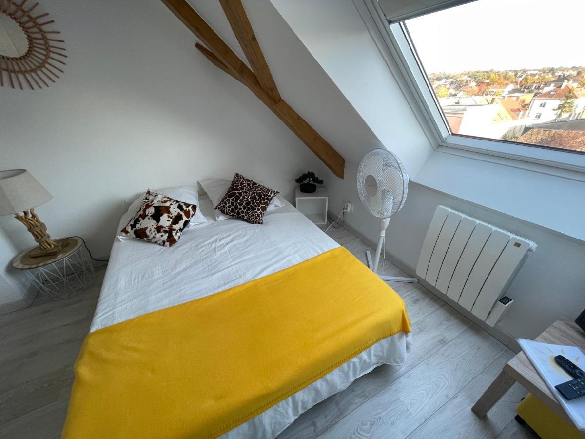 Esprit Jaune - Cosy Studio Salengro - Sauna & Sport Club Mulhouse Buitenkant foto