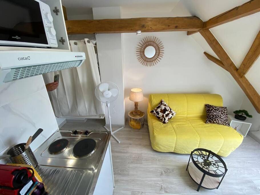 Esprit Jaune - Cosy Studio Salengro - Sauna & Sport Club Mulhouse Buitenkant foto